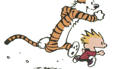 Photo of «Calvin y Hobbes: Las aventuras de un niño y su tigre, publicado por Astiberri»